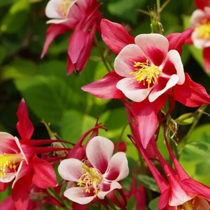 Фото 2