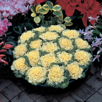 Фото 2