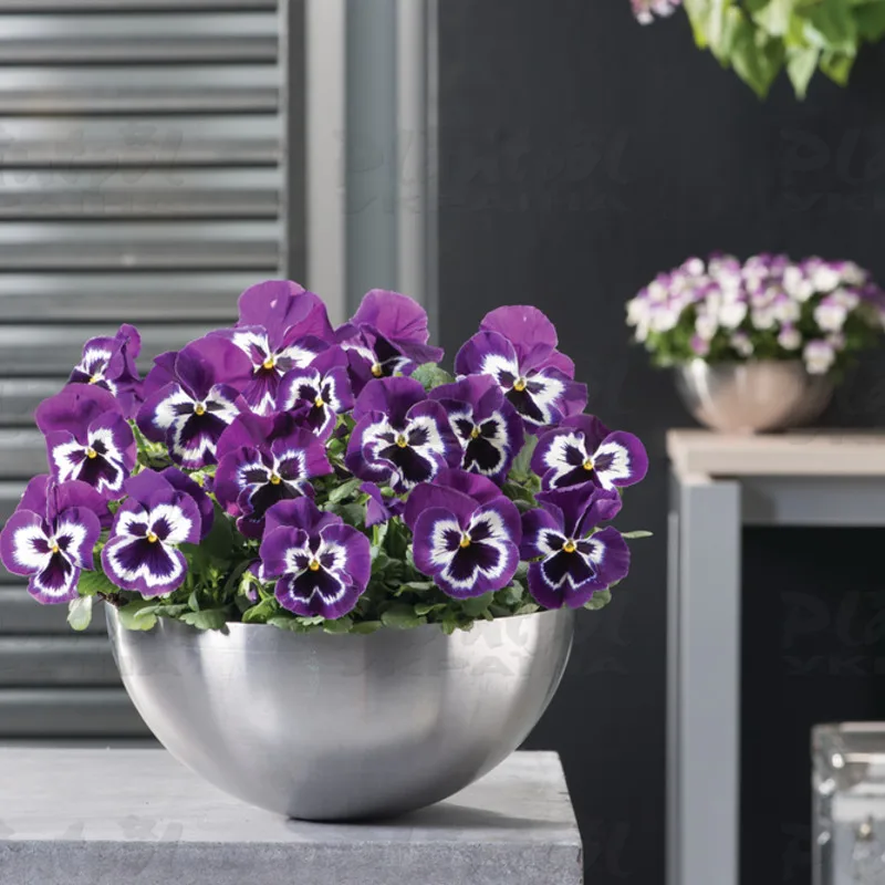 Фото 3
