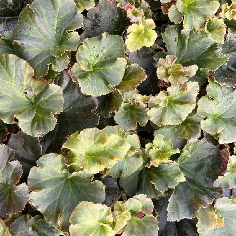 Фото 3