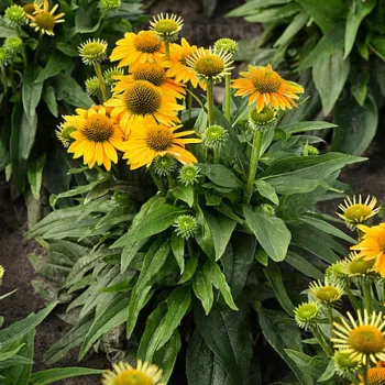 Фото 2