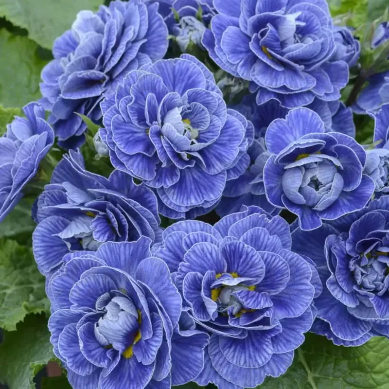 Фото 2