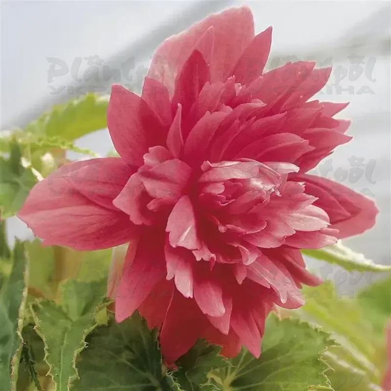 Фото 3