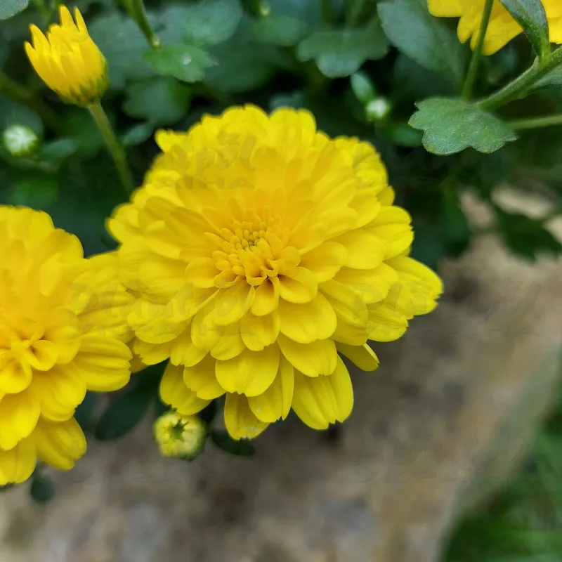 Фото 6