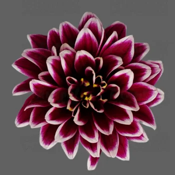 Фото 2