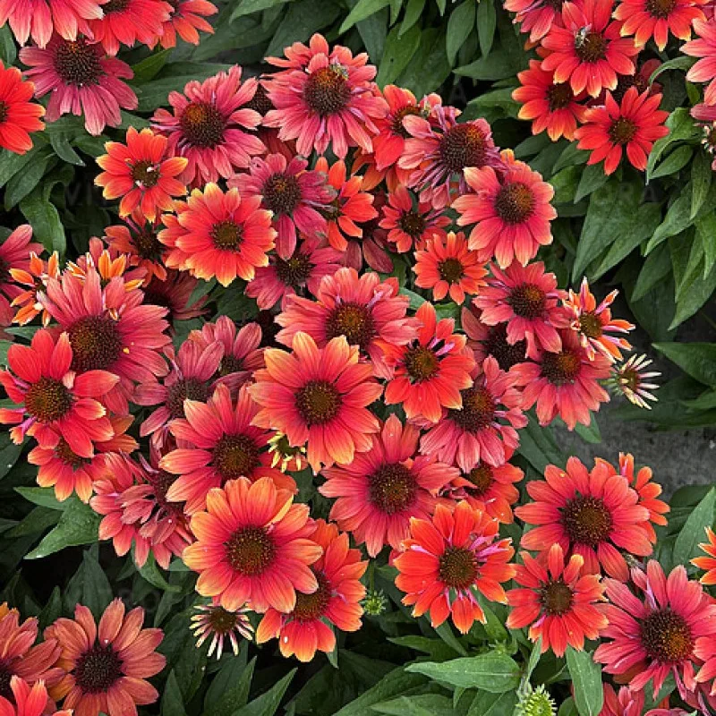 Фото 2