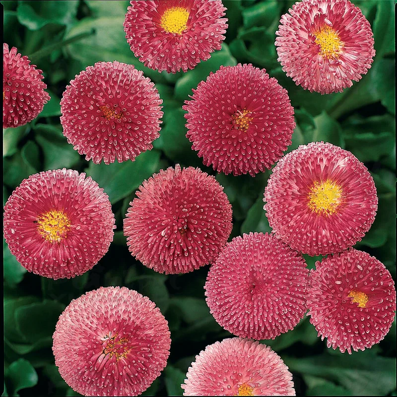 Фото 2