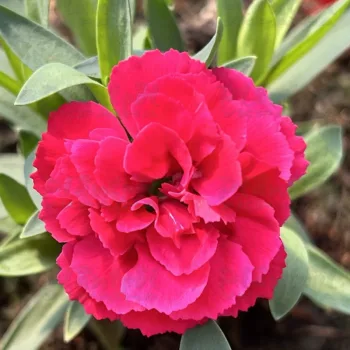 Фото 2