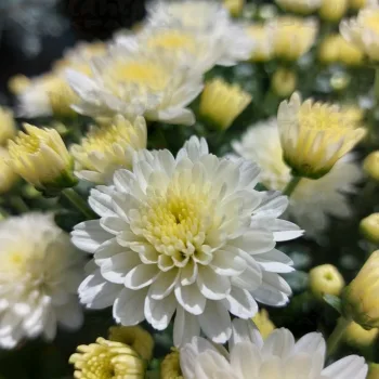 Фото 6