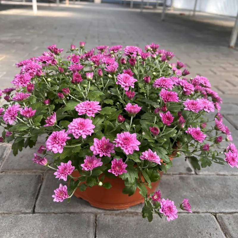 Фото 6