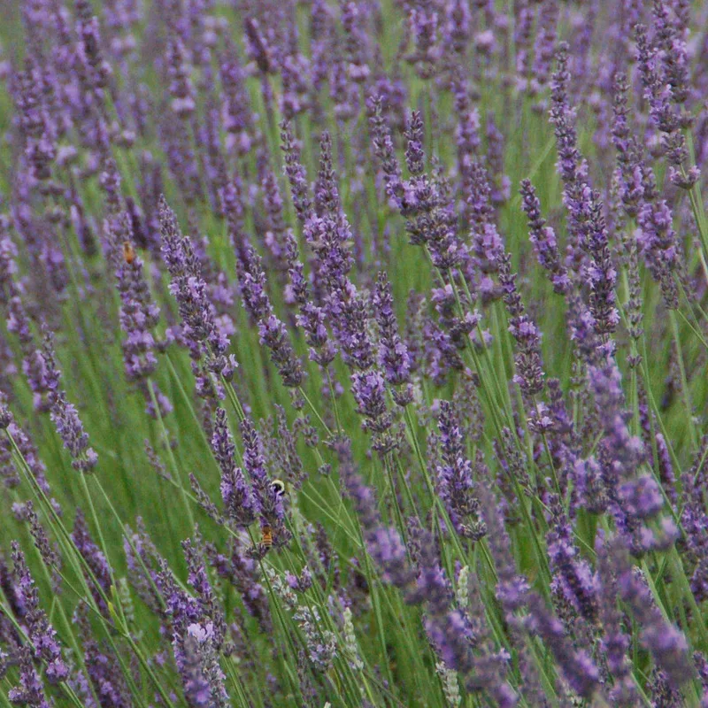 Фото 1