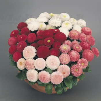 Фото 2