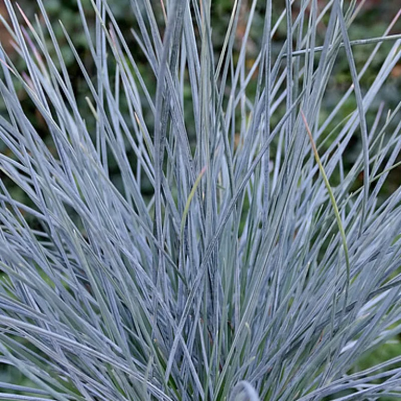 Фото 1