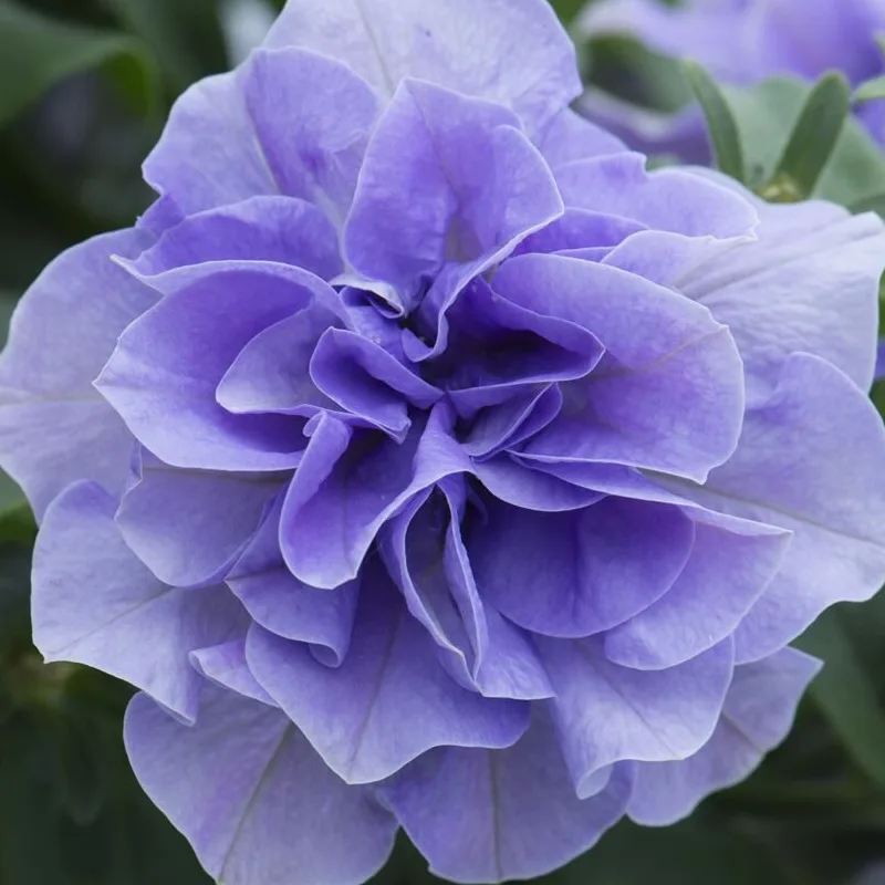 Фото 3