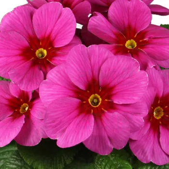 Фото 3