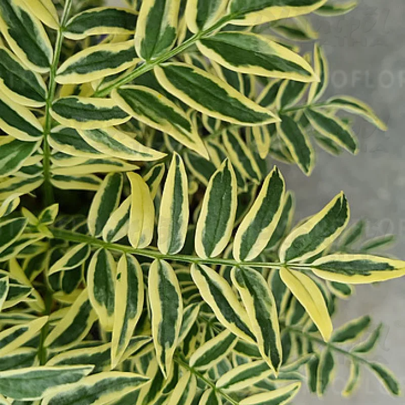 Фото 2