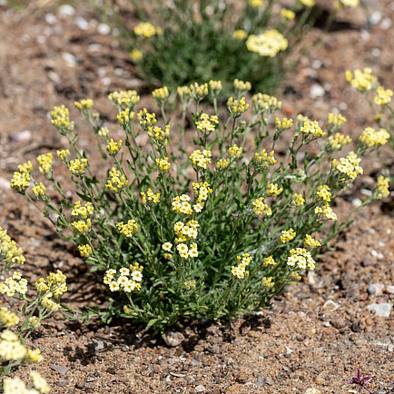 Фото 2