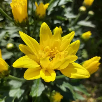 Фото 6