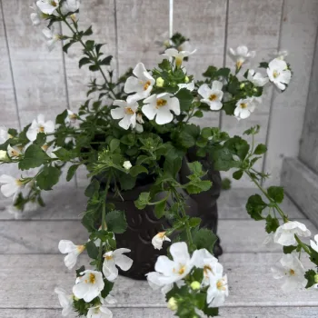 Фото 2