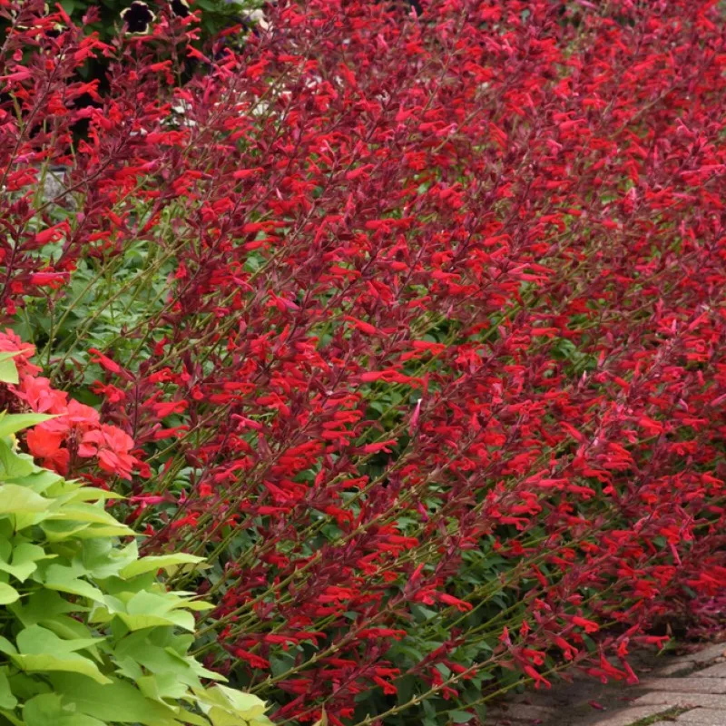 Фото 2