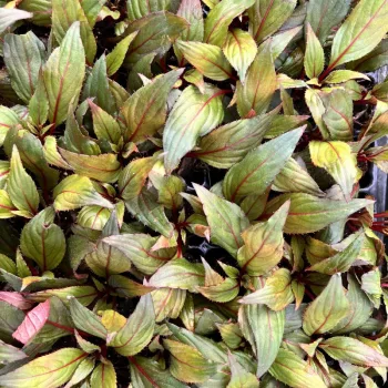 Фото 3