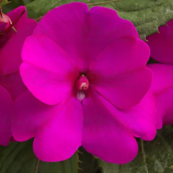Фото 3
