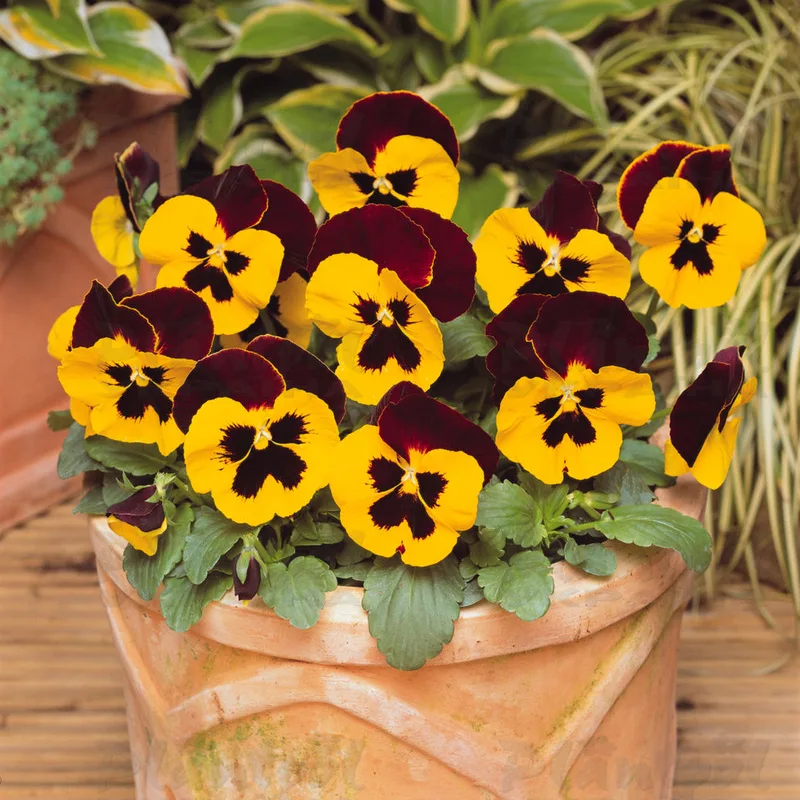 Фото 2