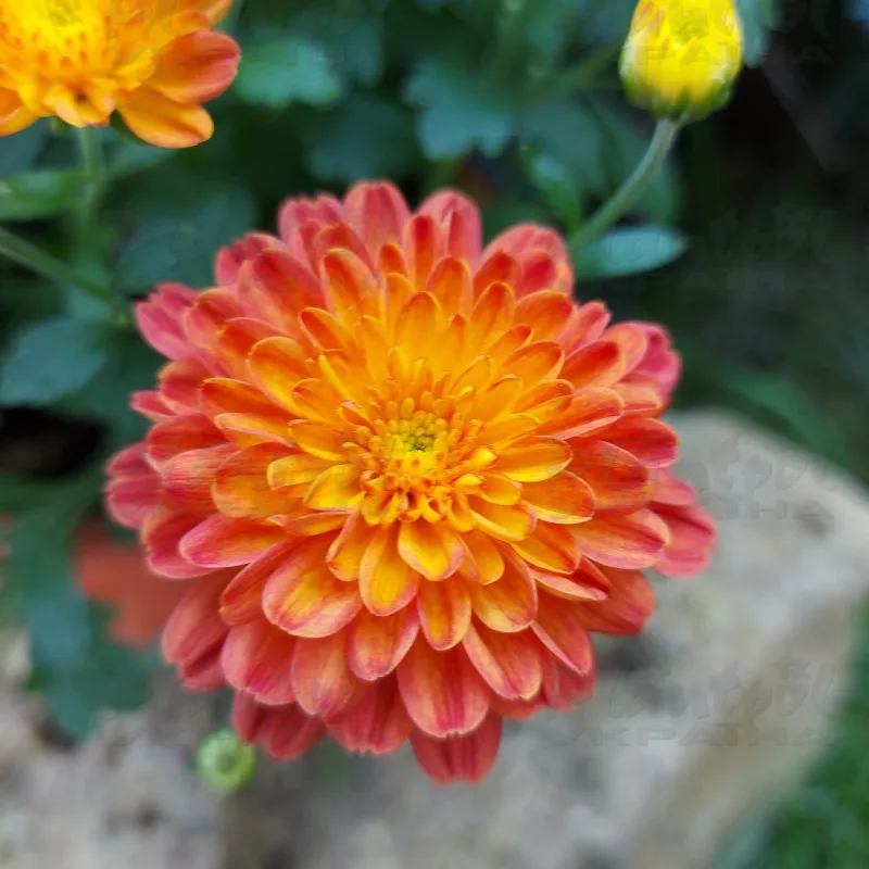 Фото 6