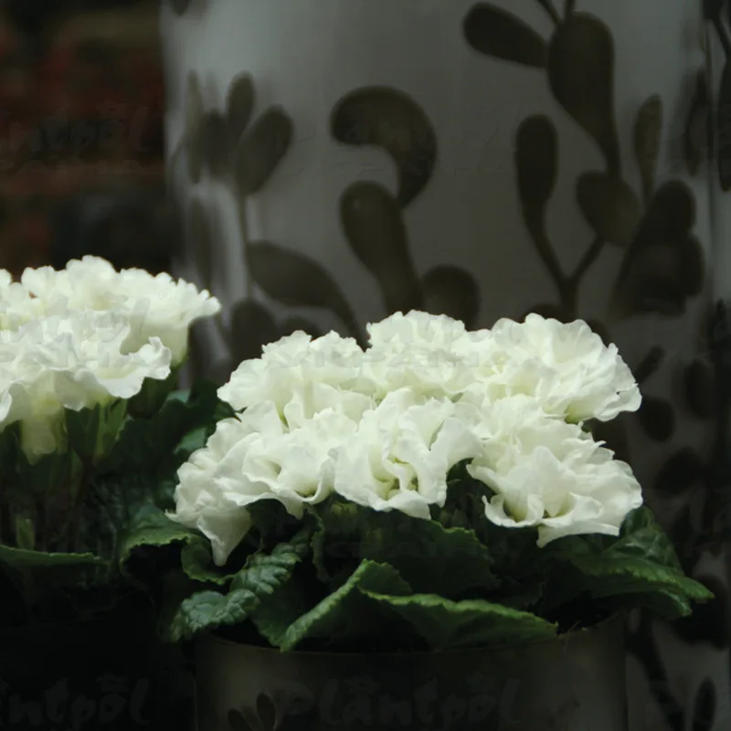 Фото 2