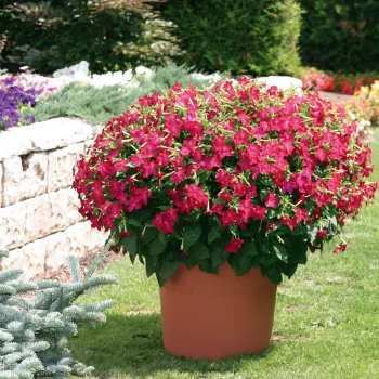Фото 1
