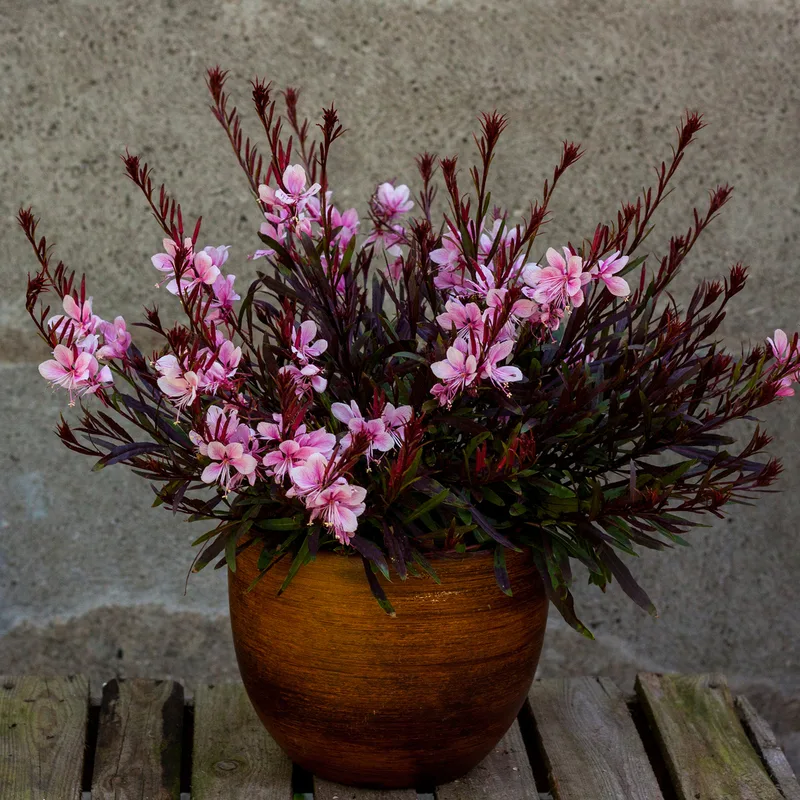 Фото 3