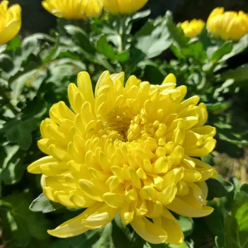 Фото 2