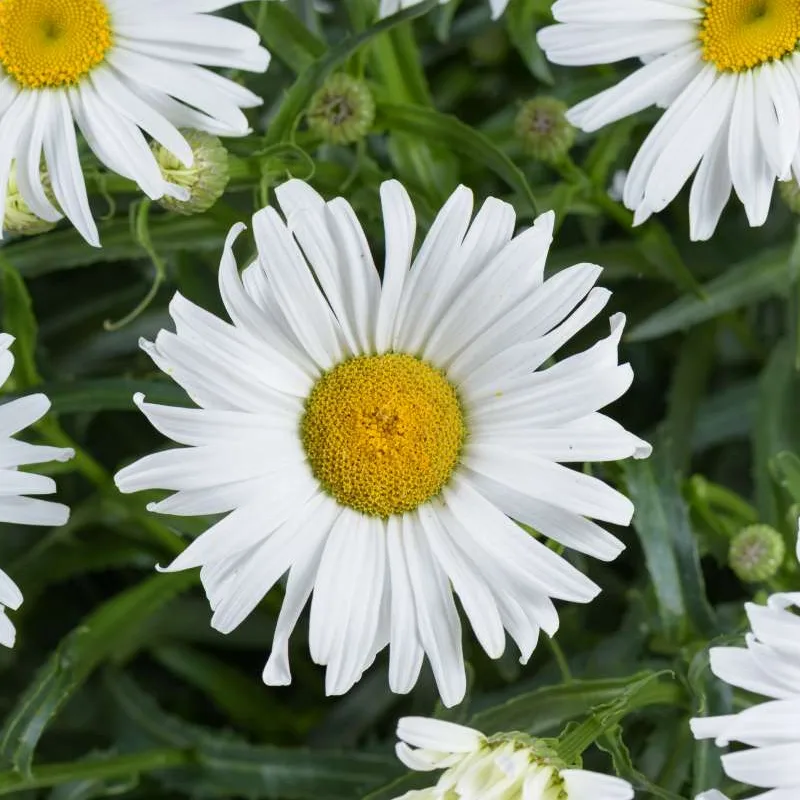 Фото 2