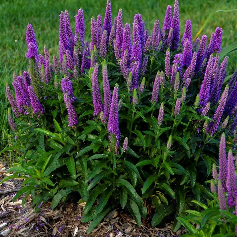 Фото 2