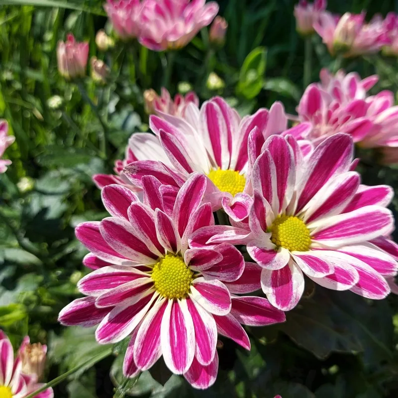 Фото 6