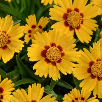 Фото 2