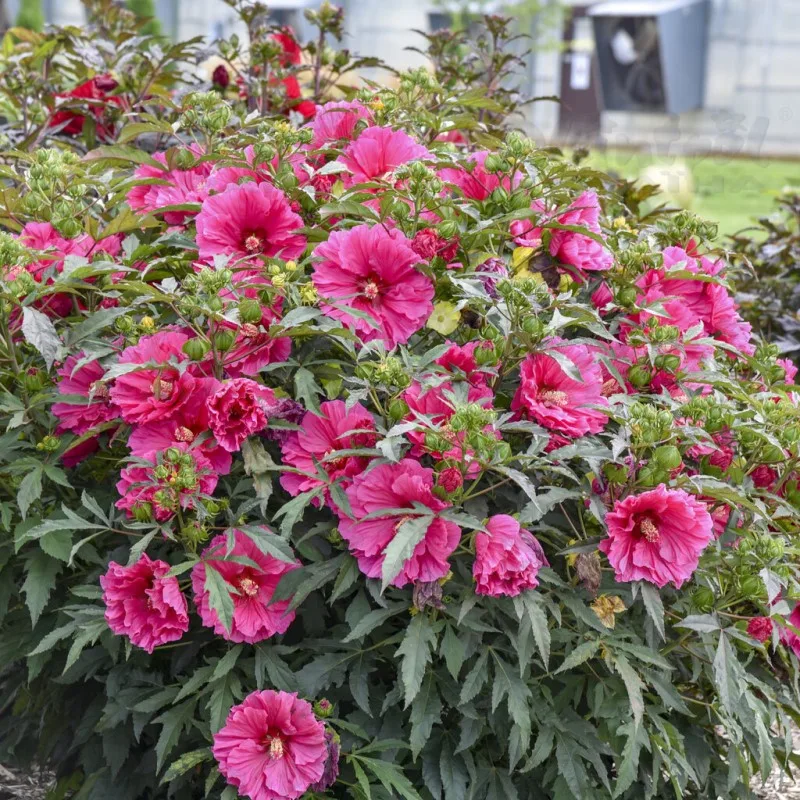 Фото 2