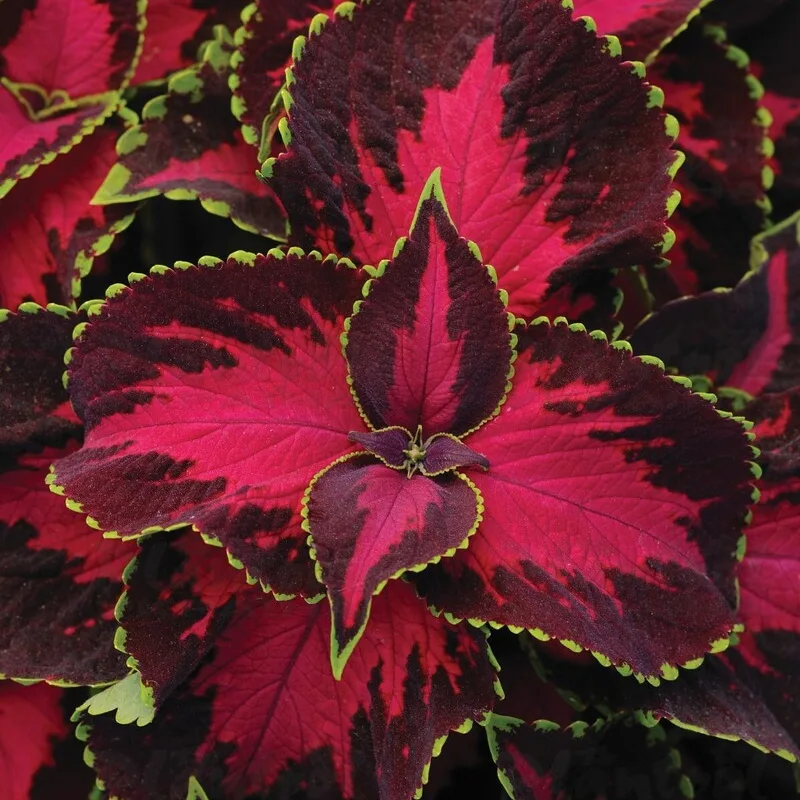 Фото 2