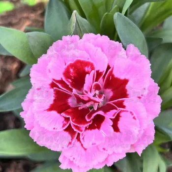 Фото 2