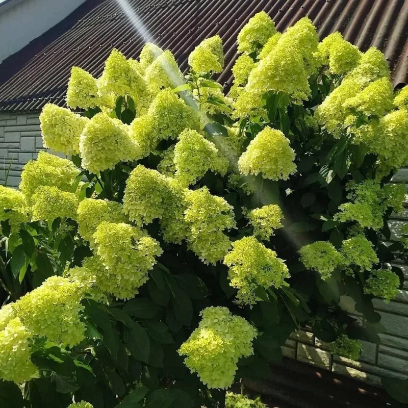 Фото 4