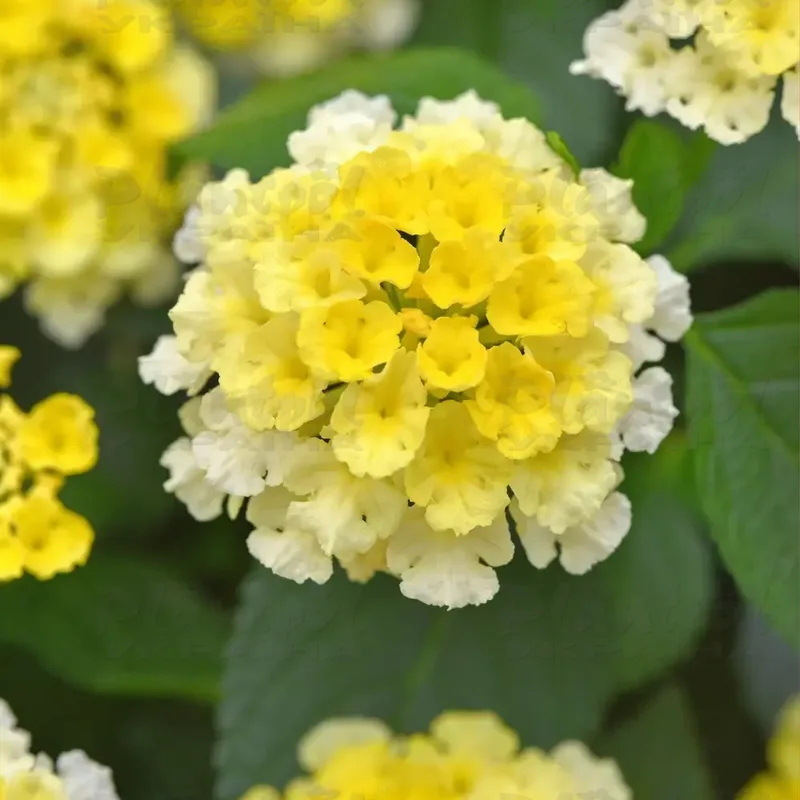 Фото 2