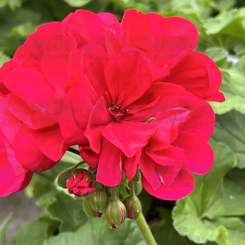 Фото 2