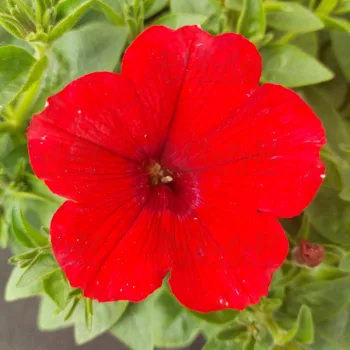 Фото 4