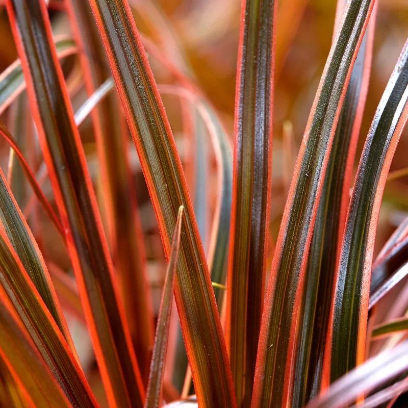 Фото 1