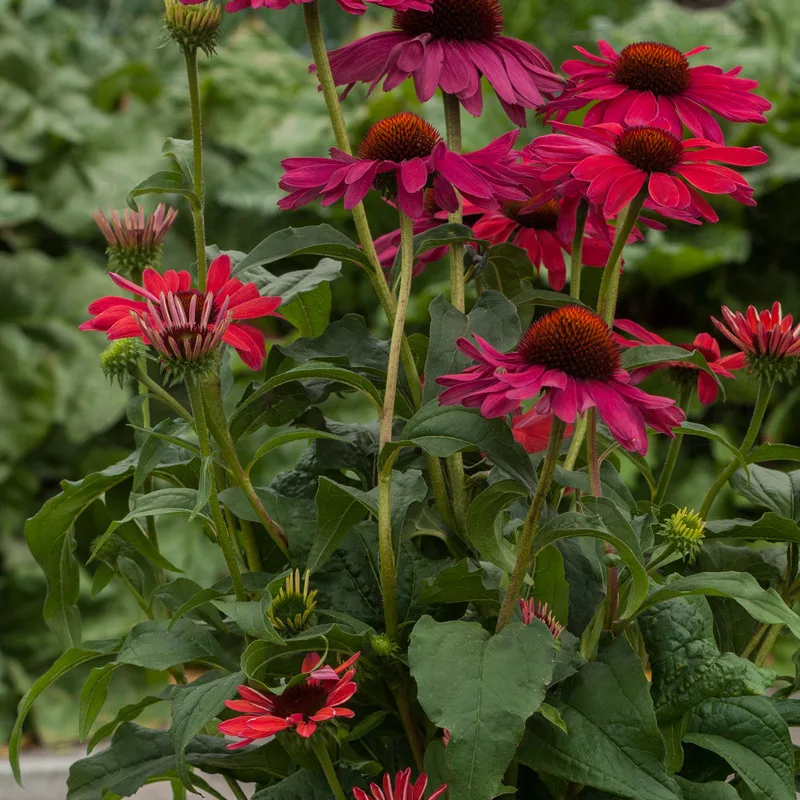 Фото 2