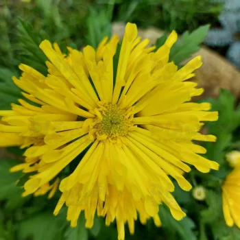 Фото 6