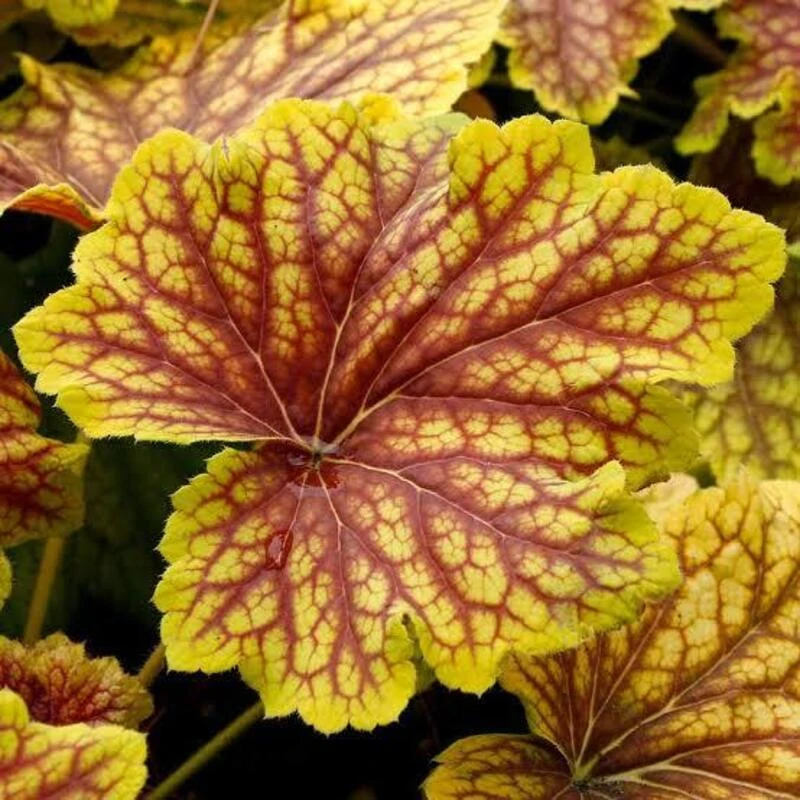 Фото 2