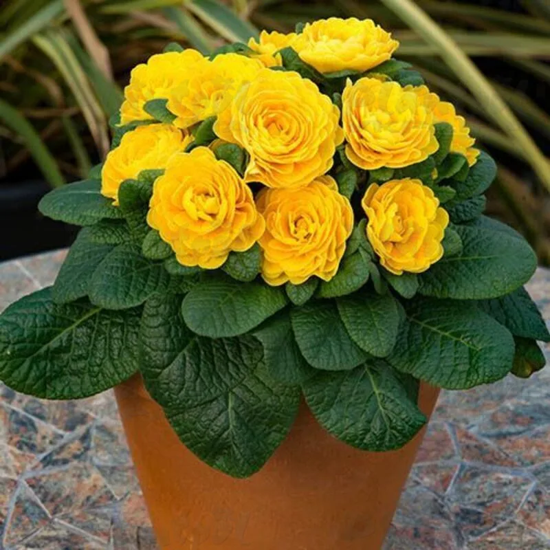 Фото 2