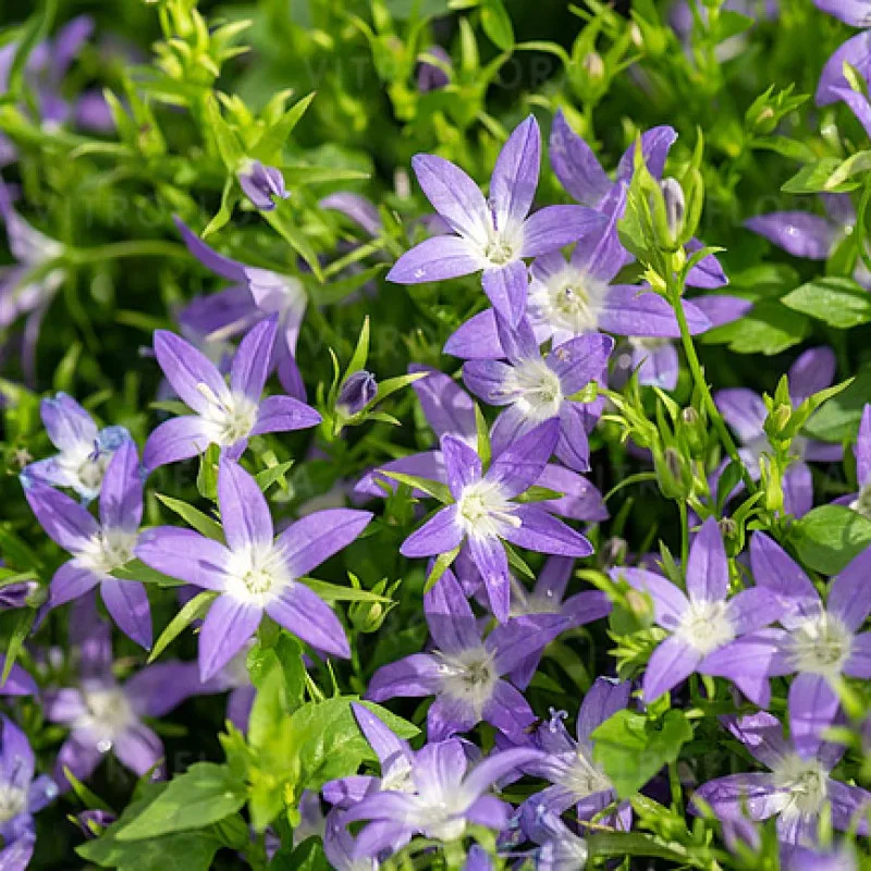 Фото 1