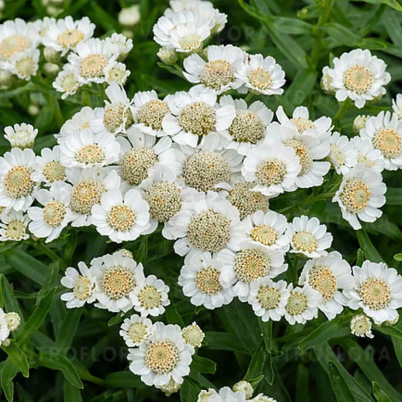 Фото 1